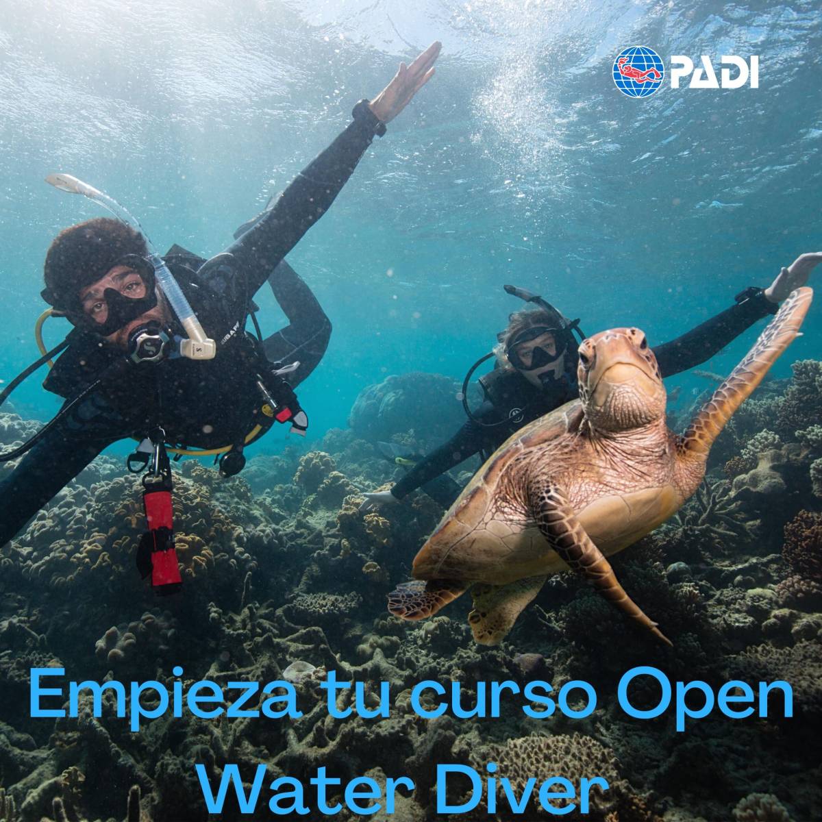 Curso Open Water Diver en San Andres Isla - Colombia