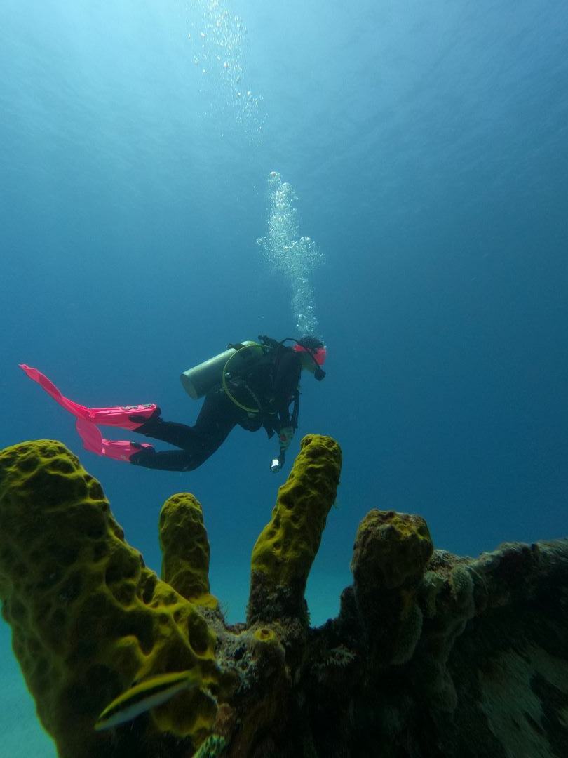 EXPERIENCIAS: Buceo Doble