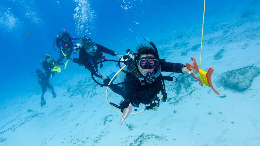 ESPECIALIDAD: Buceo En Corrientes